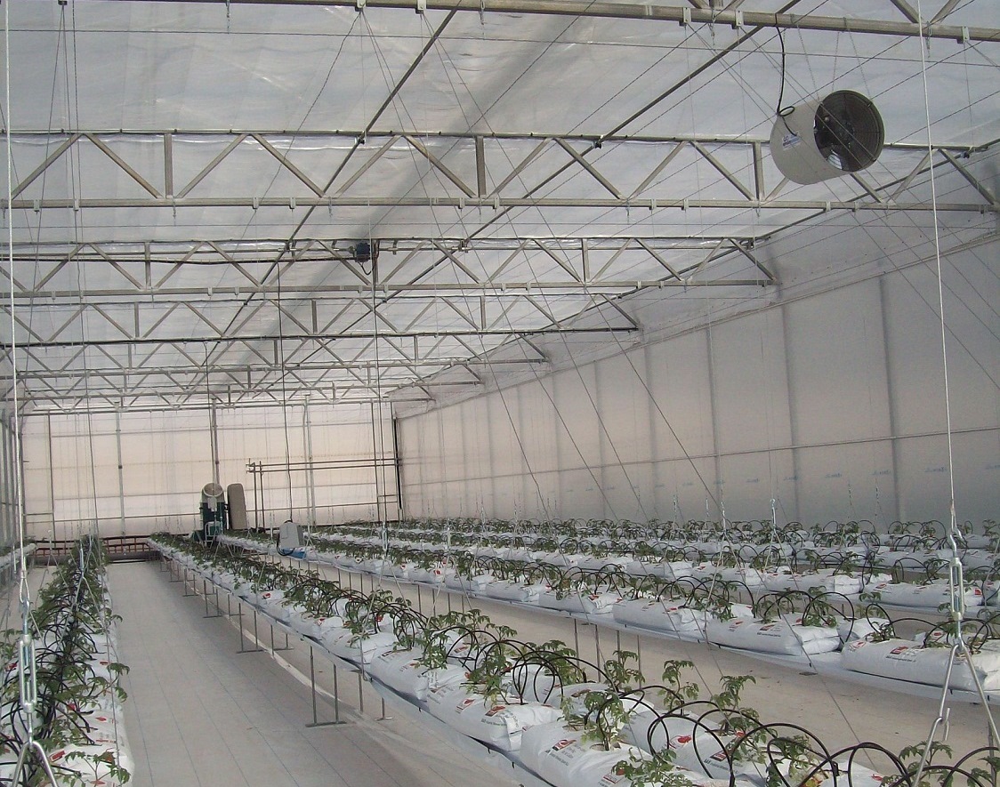 18_11_2013_invern_humidex-007