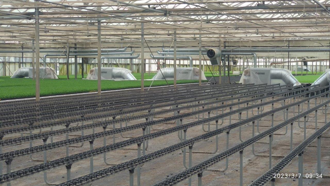 IMG_20230307_093423 semillero