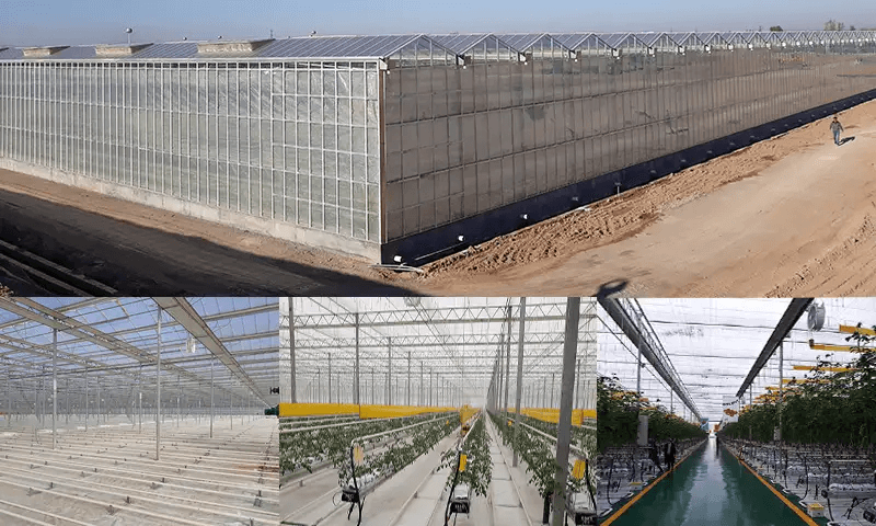 SDC-Sistemas-de-calor-calefaccion-invernadero-china SDC-Sistemas-de-calor-calefaccion-invernadero-china