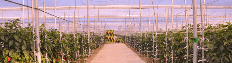 Zoi-instalaciones-1b