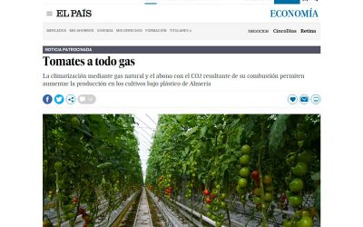 “Tomates a todo gas”